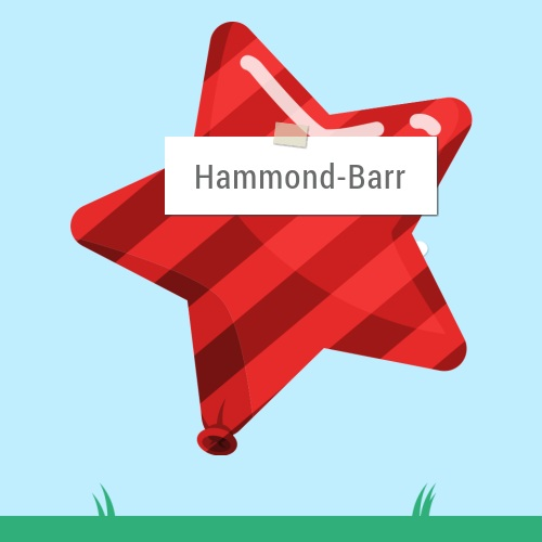 Hammond Barr Accountants Ltd