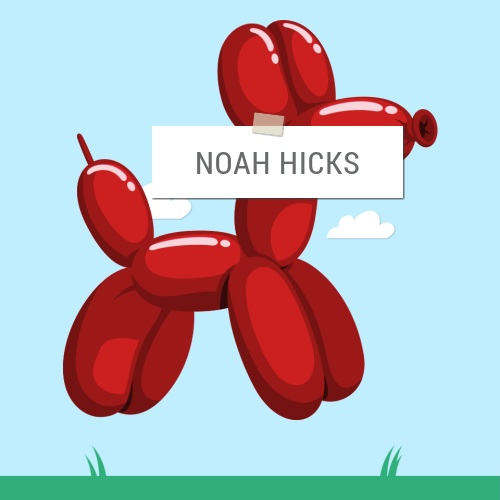 Noah Hicks