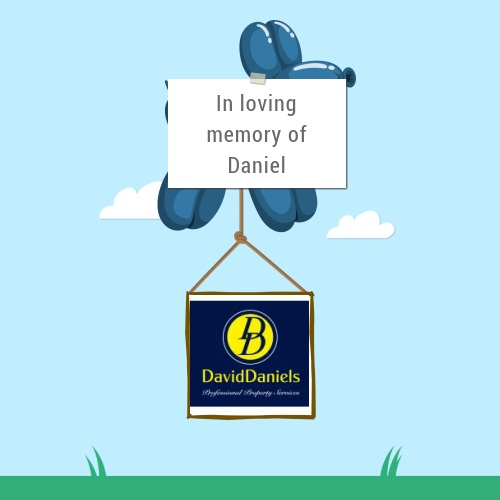 David Daniels Co Ltd