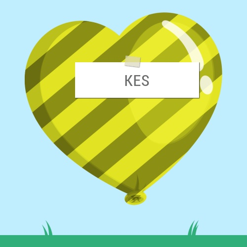 K E S