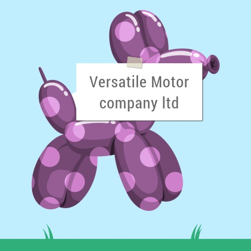 Versatile Motor Company Ltd