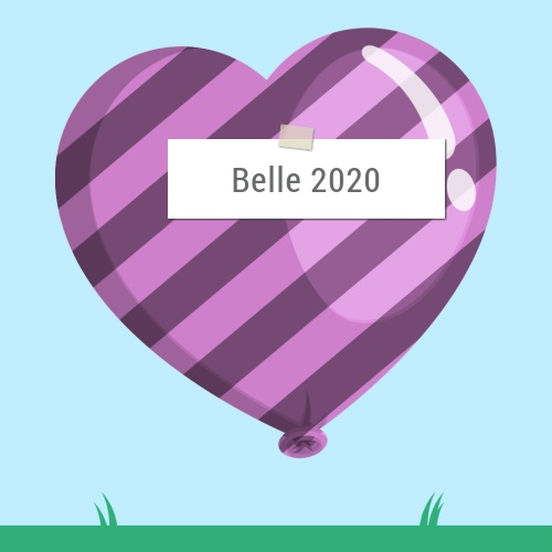Belle 2020