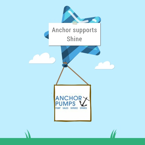 Anchor Pumps Co Ltd