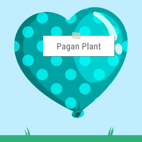 Pagan Plant Pond & Lake Construction