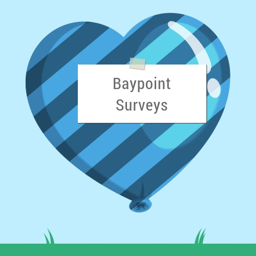 Baypoint Surveys